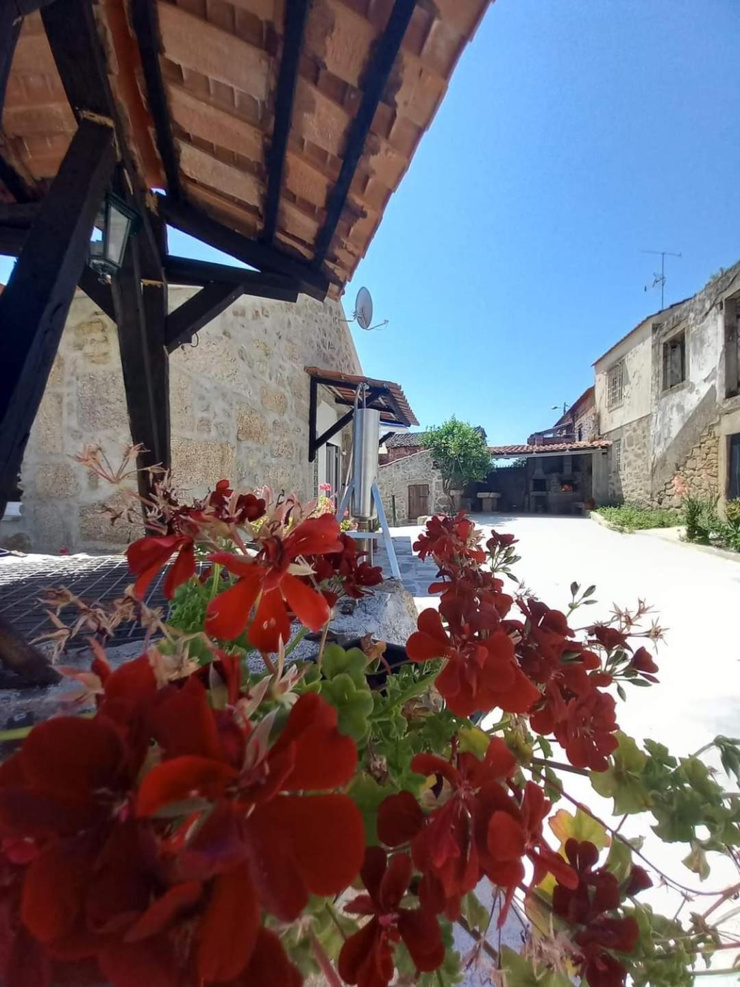 Quinta Do Cruzeiro Mata (Fornos de Algodres)